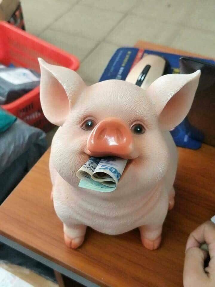 30595065_1757869014274379_9060899935217516544_n