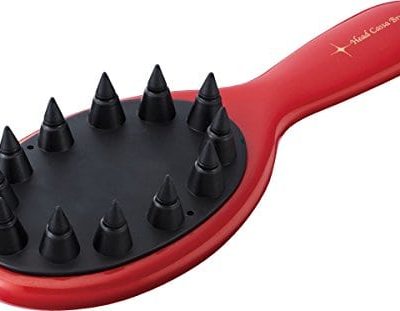 Lược massage Head Cassa Brush HC-800 Vess