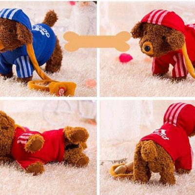 Chó biết nhảy biết hát 52 bài