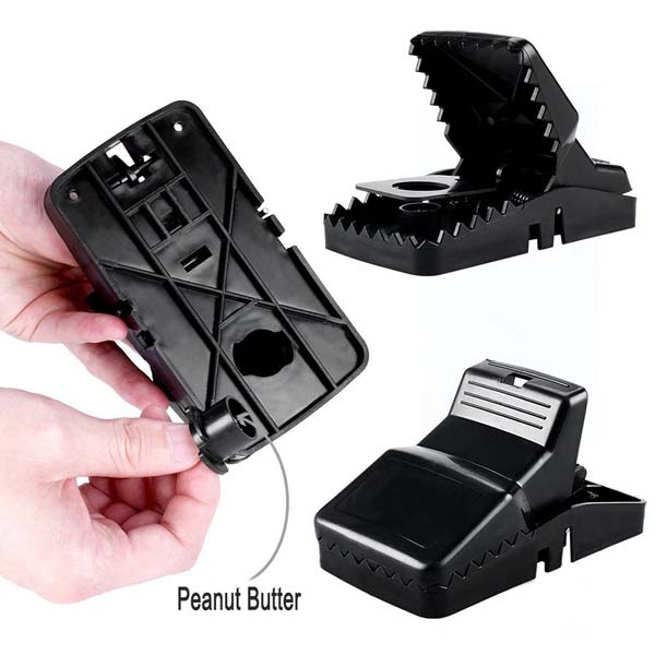 Kep-bay-chuot-sieu-nhay-2