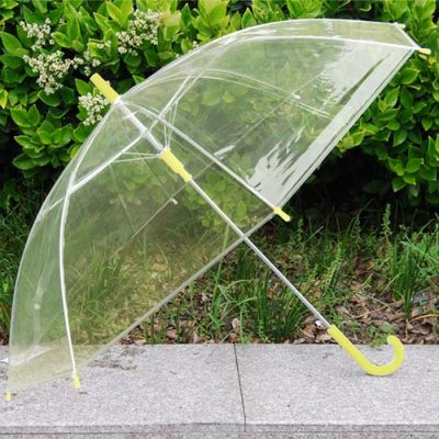 Ô trong suốt thể hiện cá tính