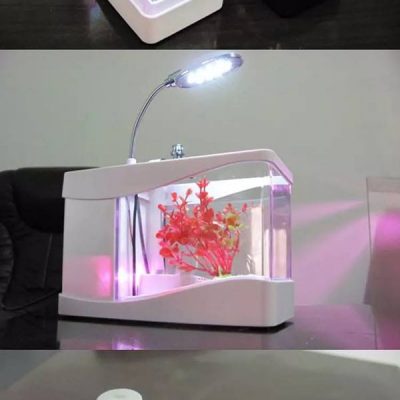 Bể cá phong thủy mini sử dụng nguồn usb