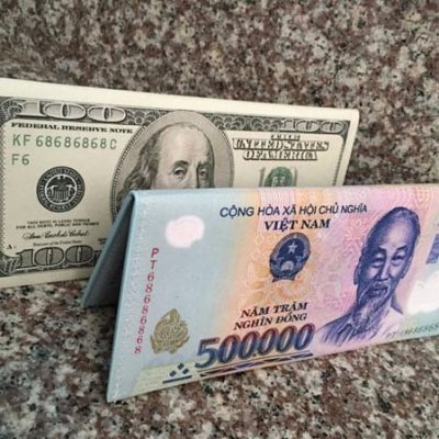 Ví nữ in hình tiền tệ