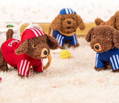 Chó biết đi biết hát 26 bài đáng yêu