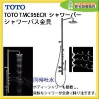 Sen cây TOTO TMC95ECR