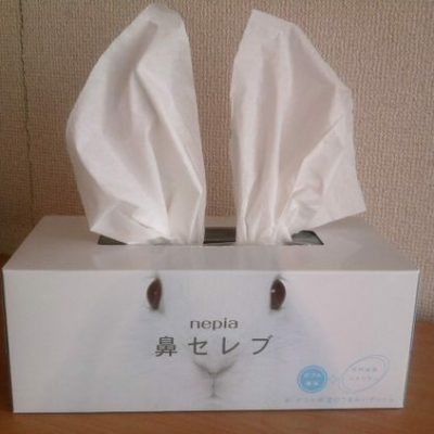 Hộp giấy khô lau mũi 400 tờ- Nepia