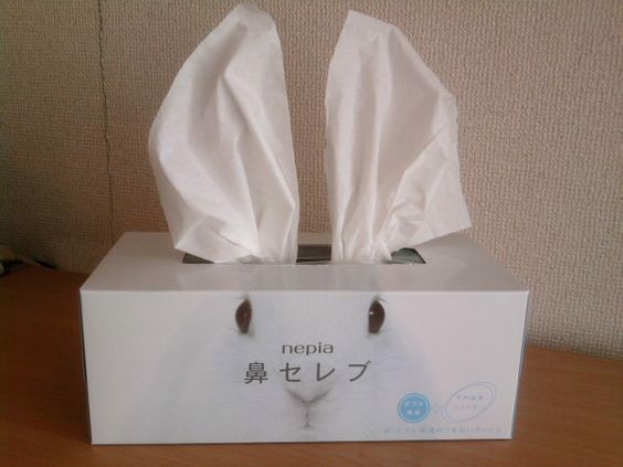 015930cdf194e7f909ec78964fb1e63a--bunny-rabbits-the-bunny_grande