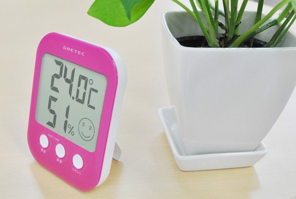 4536117010879_3_grande