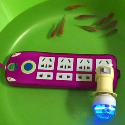 Ổ điện chống giật an toàn