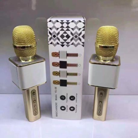 Mic kèm loa ys-08