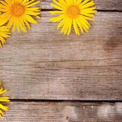 Tấm phông nền chụp hình 3D