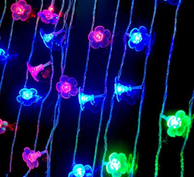 Đèn led trang trí hình hoa mai , bướm xinh