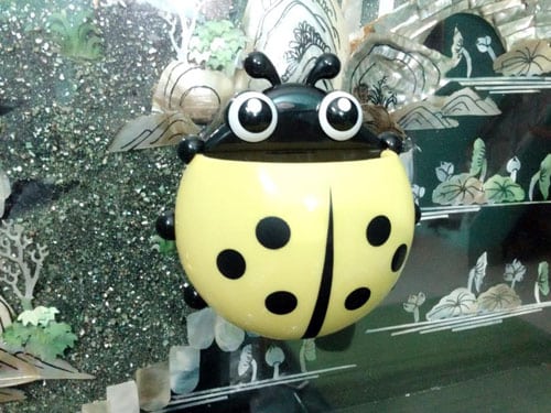 dung-cu-dung-ban-chai-kem-danh-rang-hinh-chu-bo-1