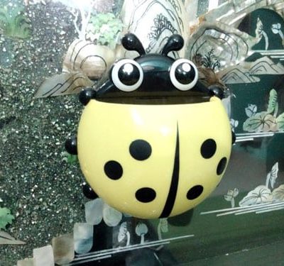 Giá để bàn chải đánh răng hình chú bọ