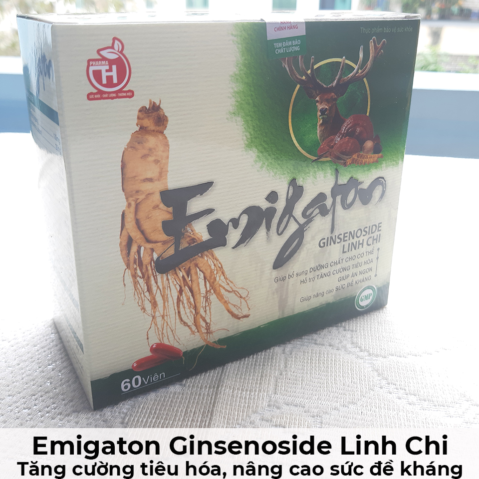 Emigaton ginsenoside linh chi - Tăng cường tiêu hóa, nâng cao sức đề kháng-10 Emigaton ginsenoside linh chi - Tăng cường tiêu hóa, nâng cao sức đề kháng-10