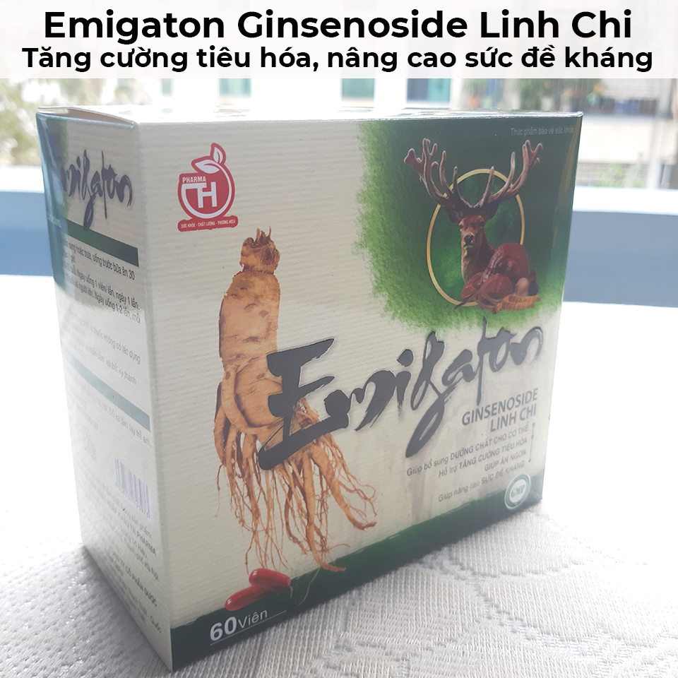 Emigaton ginsenoside linh chi - Tăng cường tiêu hóa, nâng cao sức đề kháng-11 Emigaton ginsenoside linh chi - Tăng cường tiêu hóa, nâng cao sức đề kháng-11