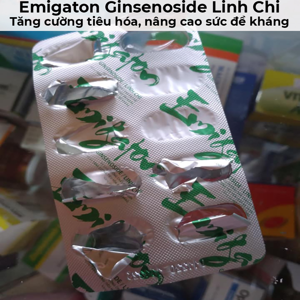Emigaton ginsenoside linh chi - Tăng cường tiêu hóa, nâng cao sức đề kháng-16 Emigaton ginsenoside linh chi - Tăng cường tiêu hóa, nâng cao sức đề kháng-16