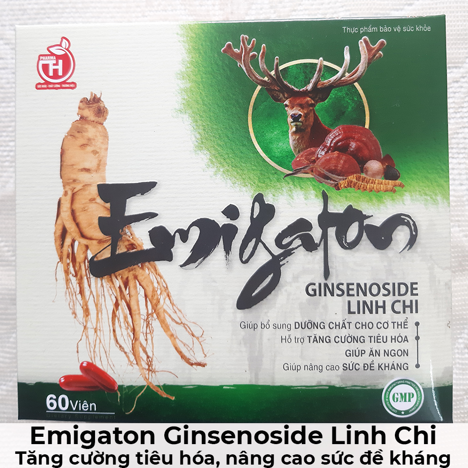Emigaton ginsenoside linh chi - Tăng cường tiêu hóa, nâng cao sức đề kháng-18 Emigaton ginsenoside linh chi - Tăng cường tiêu hóa, nâng cao sức đề kháng-18