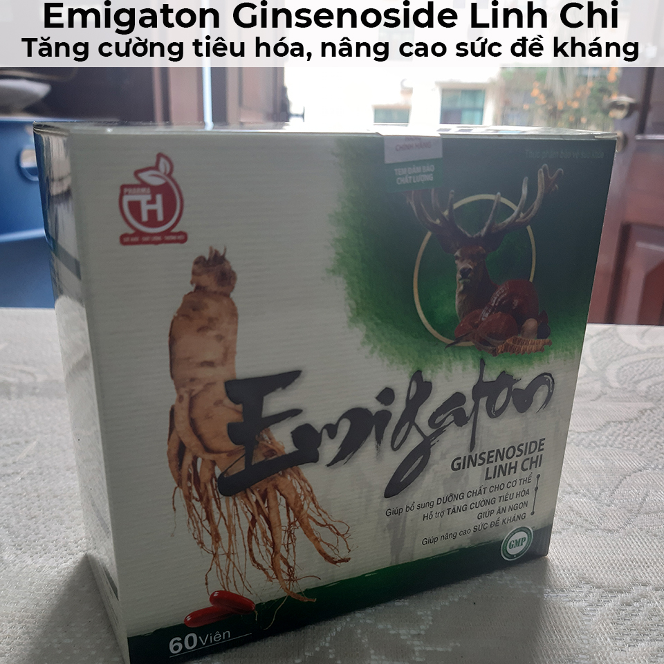 Emigaton ginsenoside linh chi - Tăng cường tiêu hóa, nâng cao sức đề kháng-8 Emigaton ginsenoside linh chi - Tăng cường tiêu hóa, nâng cao sức đề kháng-8