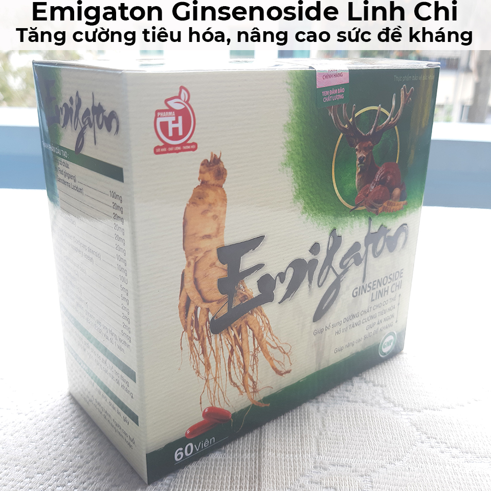 Emigaton ginsenoside linh chi - Tăng cường tiêu hóa, nâng cao sức đề kháng-9 Emigaton ginsenoside linh chi - Tăng cường tiêu hóa, nâng cao sức đề kháng-9